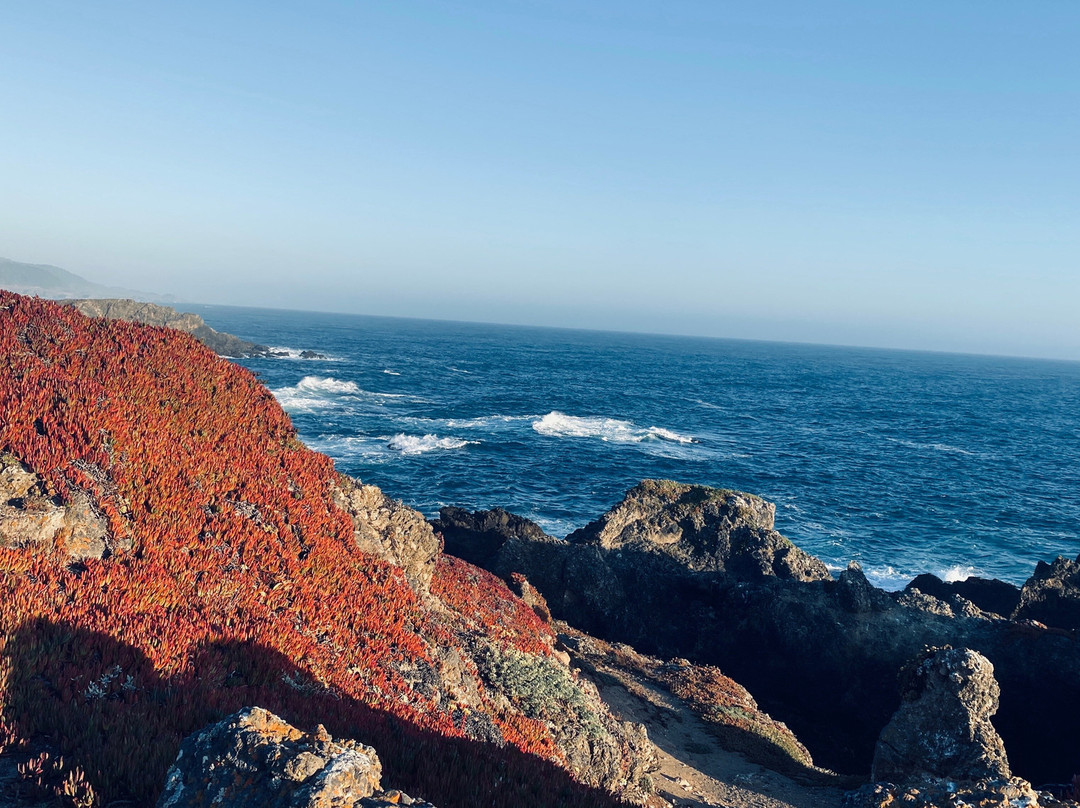 海滨牧场旅馆主图