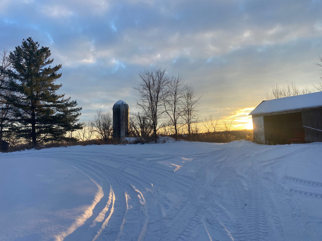 Maple Cove Bed & Breakfast And The August House主图