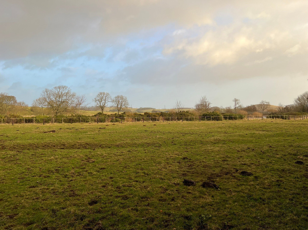 Ingram House Bed and Breakfast主图