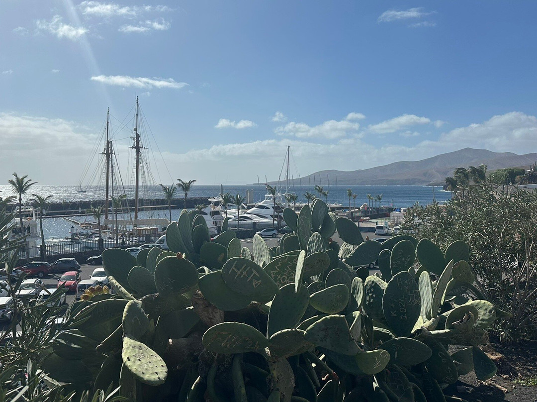 Promenade Marina Puerto Calero景点图片