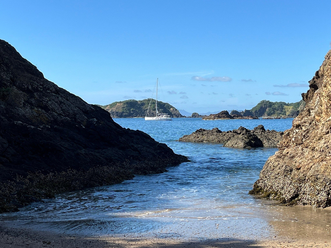 The Light House Lookout主图