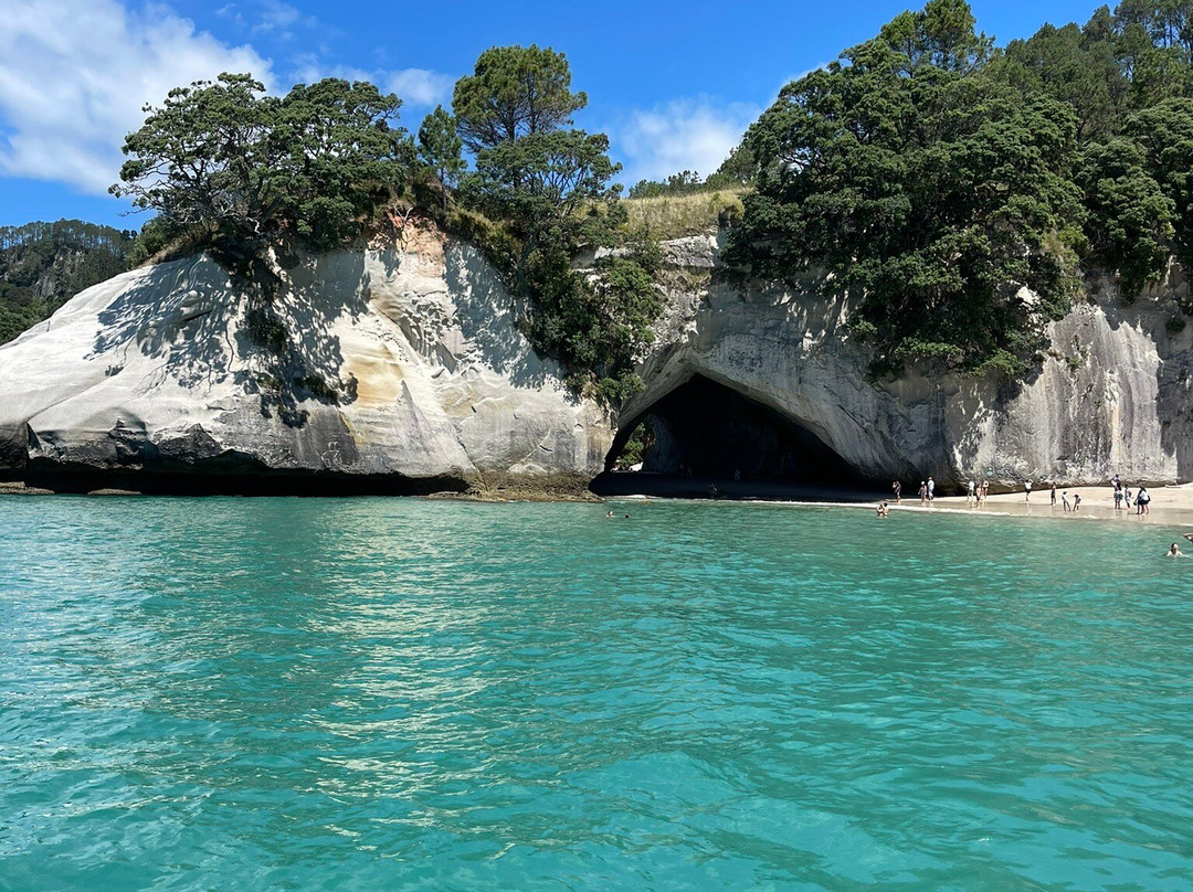 Mercury Bay Discoveries - River & Waterways Cruise景点图片