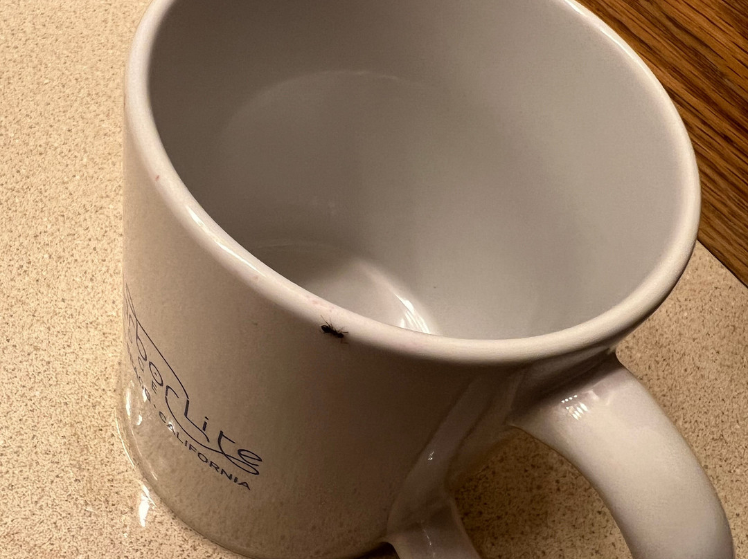 Harbor Lite Lodge主图