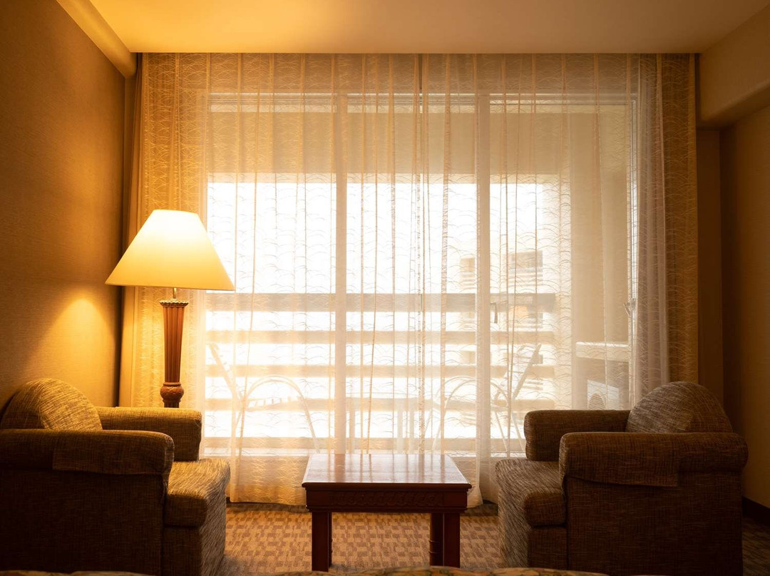 卢迪亚纳丽笙酒店主图