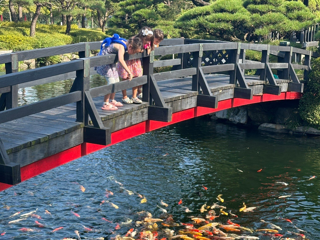 Beartree Park-世宗市必去景点