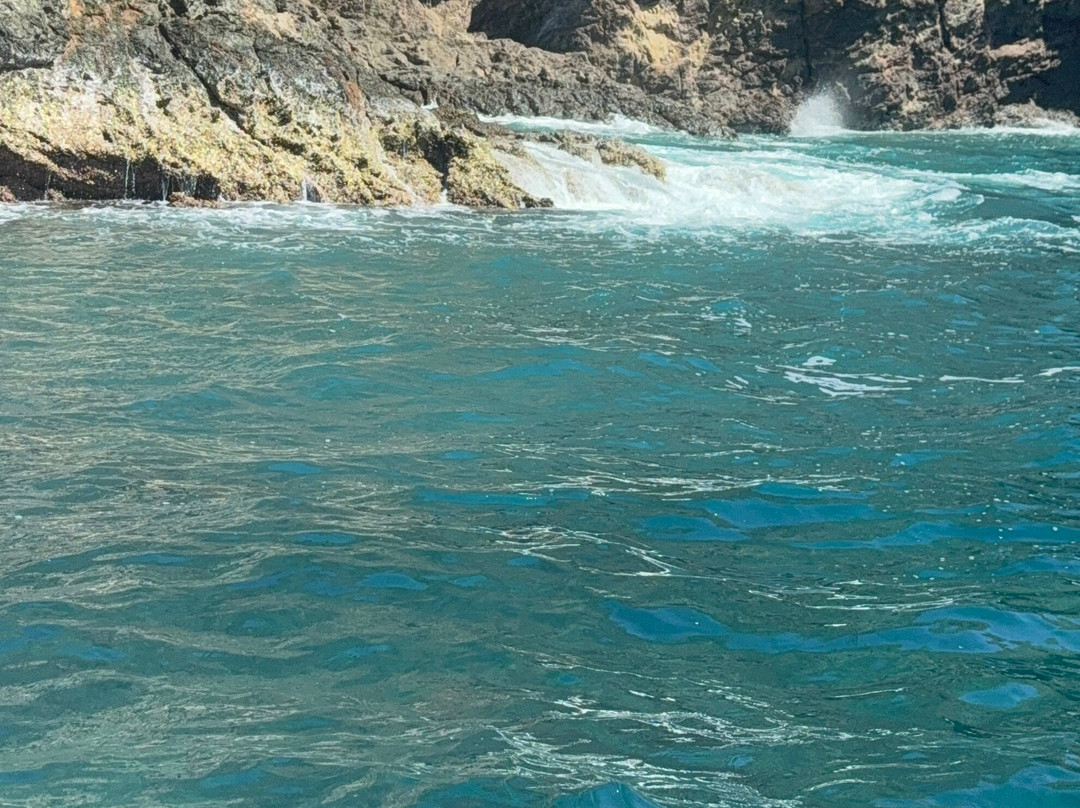 Sol Fishing Tours景点图片