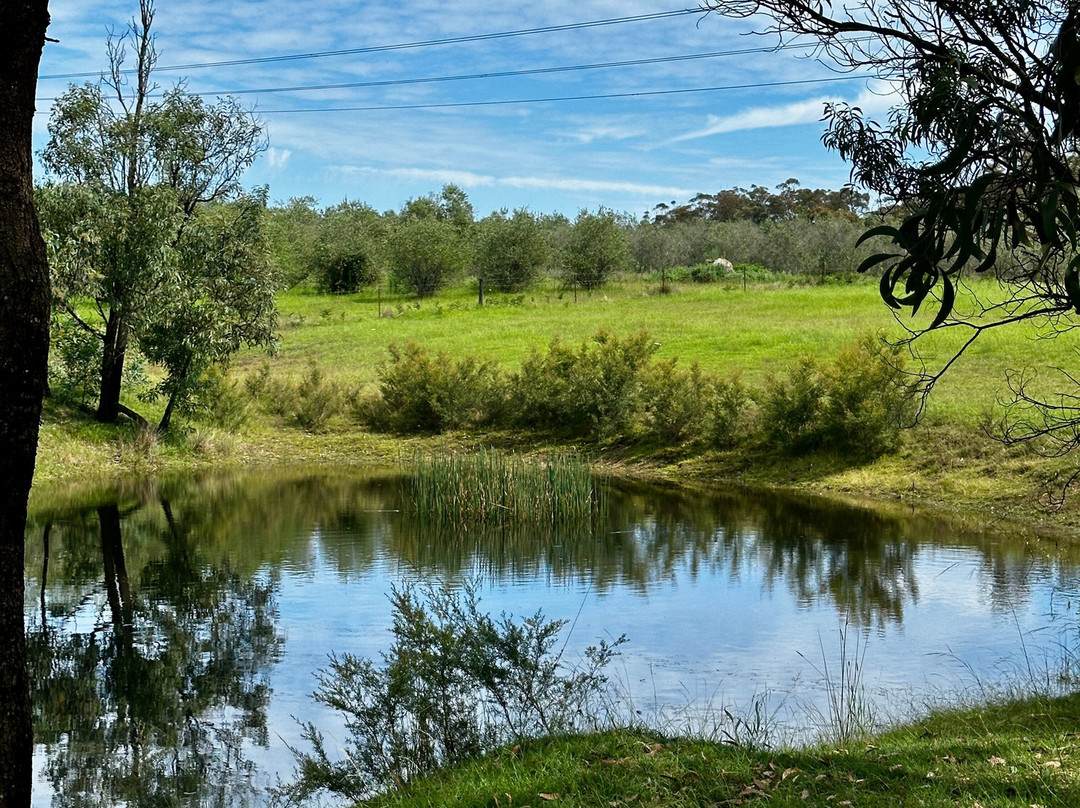 Canyonleigh Retreat主图
