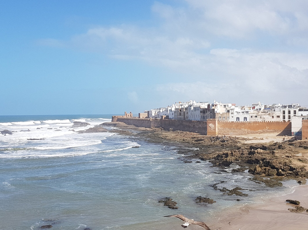 Trendy Travel-马拉喀什必去景点