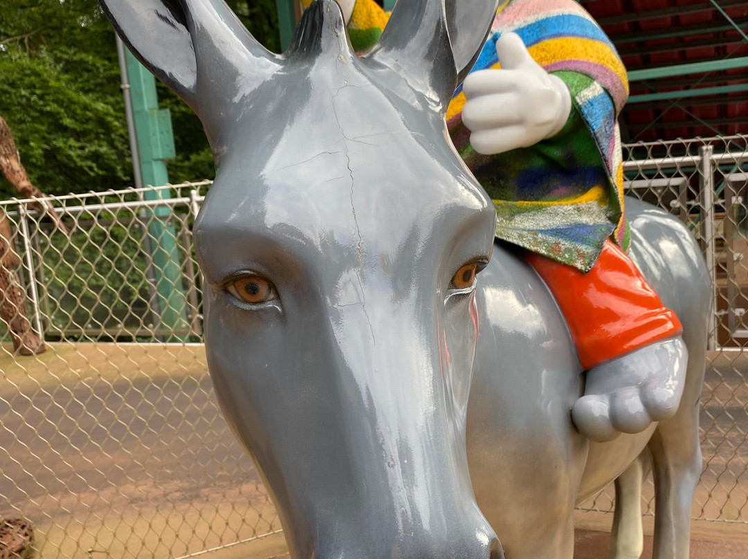 kinderpretpark Julianatoren景点图片