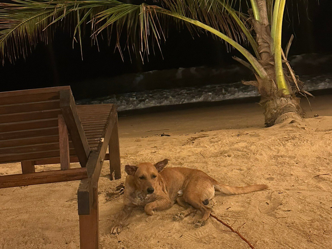 Anama Tangalle主图