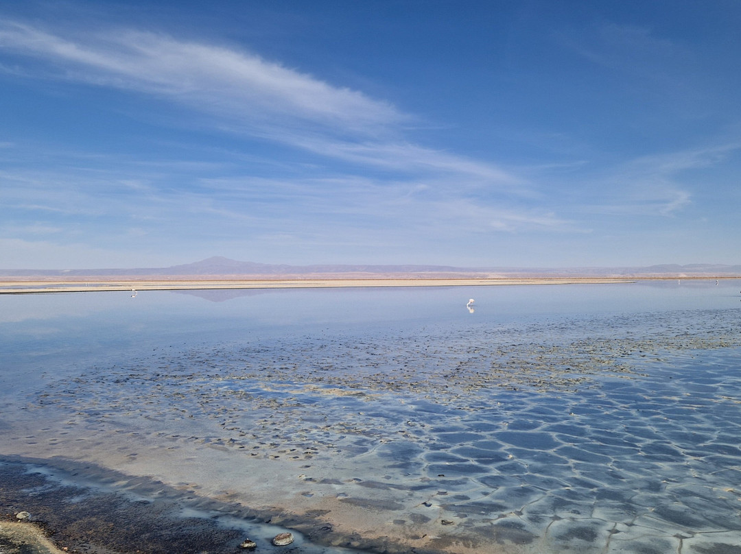 Salar de Atacama-安托法加斯塔必去景点