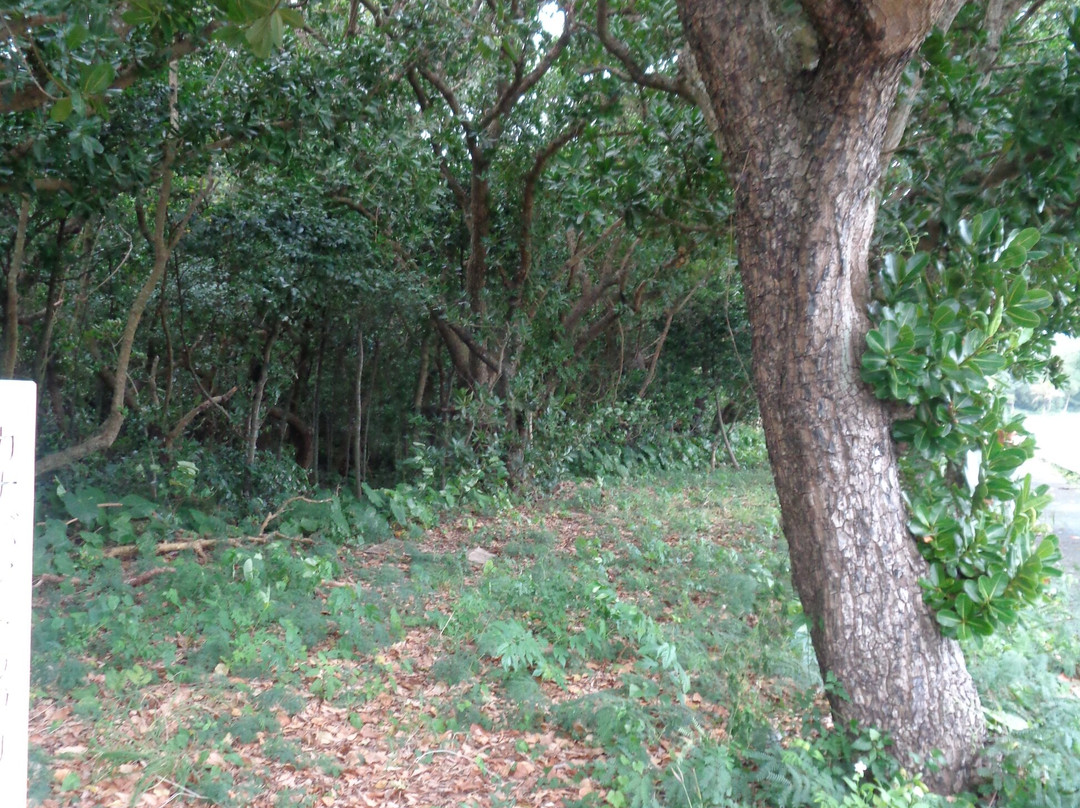 Canabama Toublis-多良间村必去景点