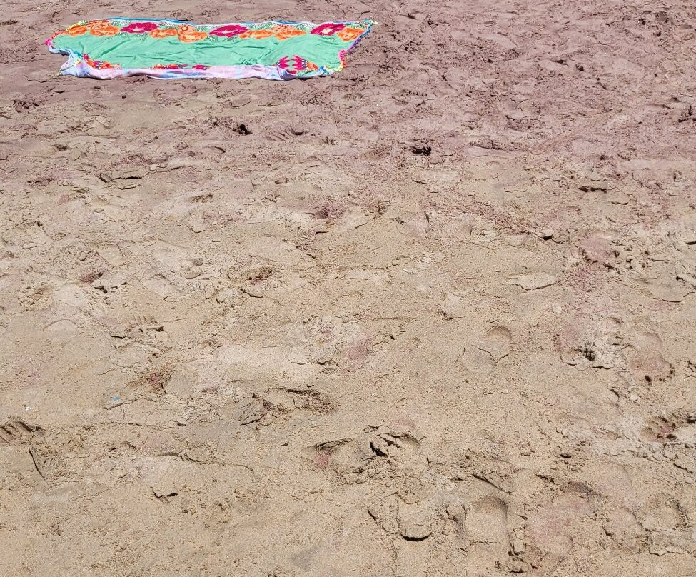 Praia Brava-布基亚斯必去景点