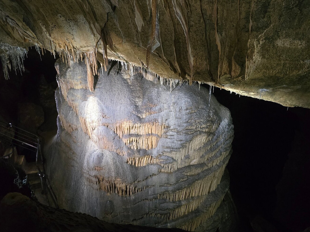 Gunns Plains Caves-Gunns Plains必去景点