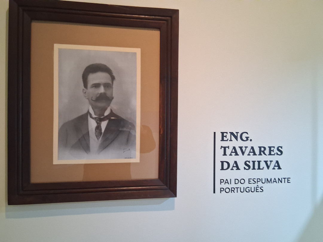 Museu Do Vinho Da Bairrada景点图片