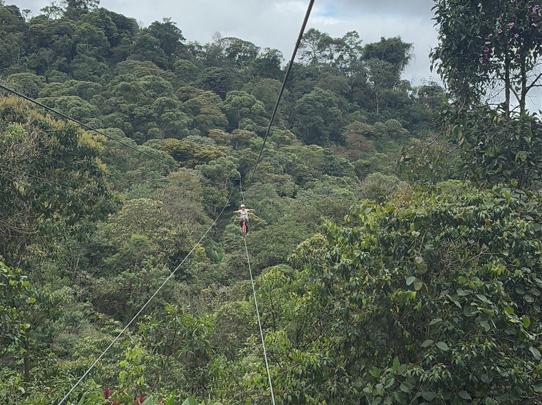 Mindo Canopy Adventure景点图片