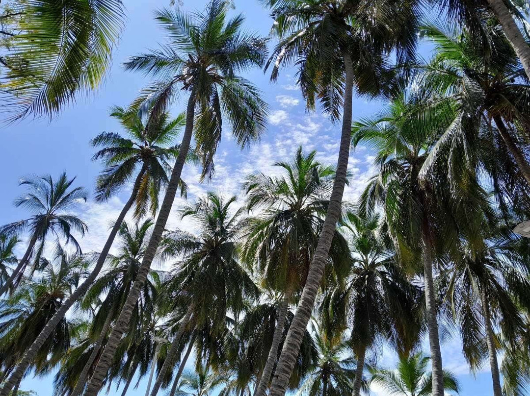 Playa El Rodadero-Gaira必去景点