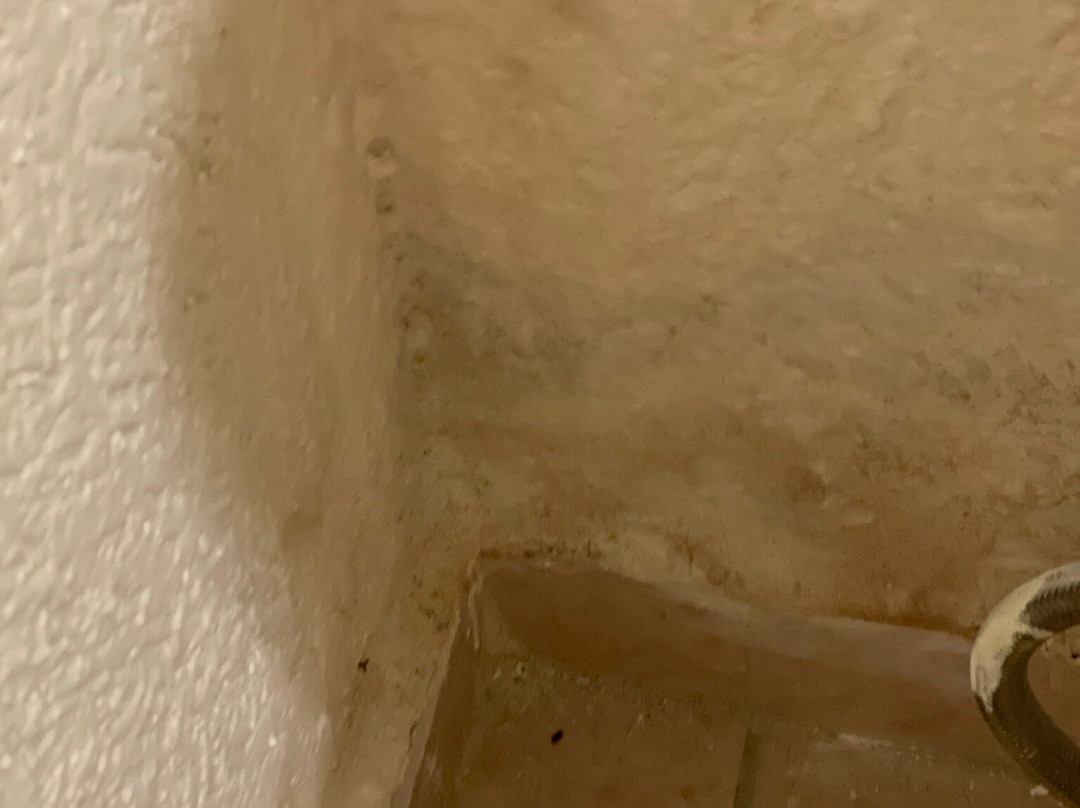 哥斯达客栈酒店主图