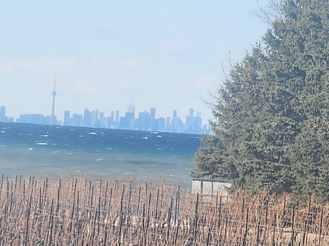 Konzelman Winery-滨湖尼亚加拉必去景点