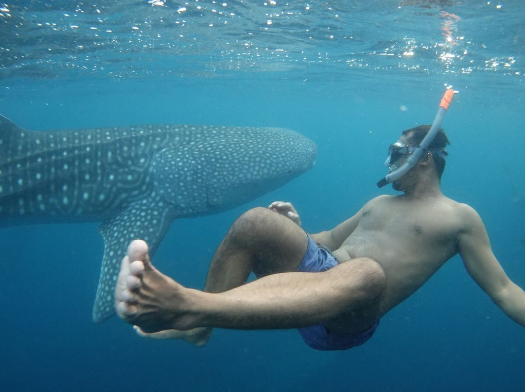 Sumbawa Adventour-Sumbawa Besar必去景点