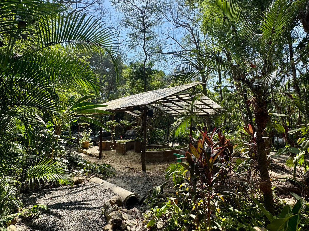 Pura Vida Adventures-圣特雷莎必去景点