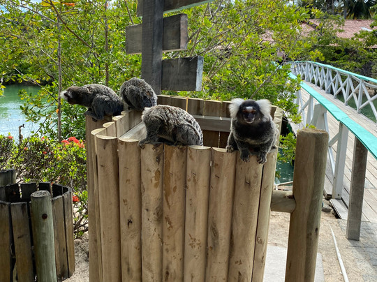 Karlla Tour-Maceio必去景点