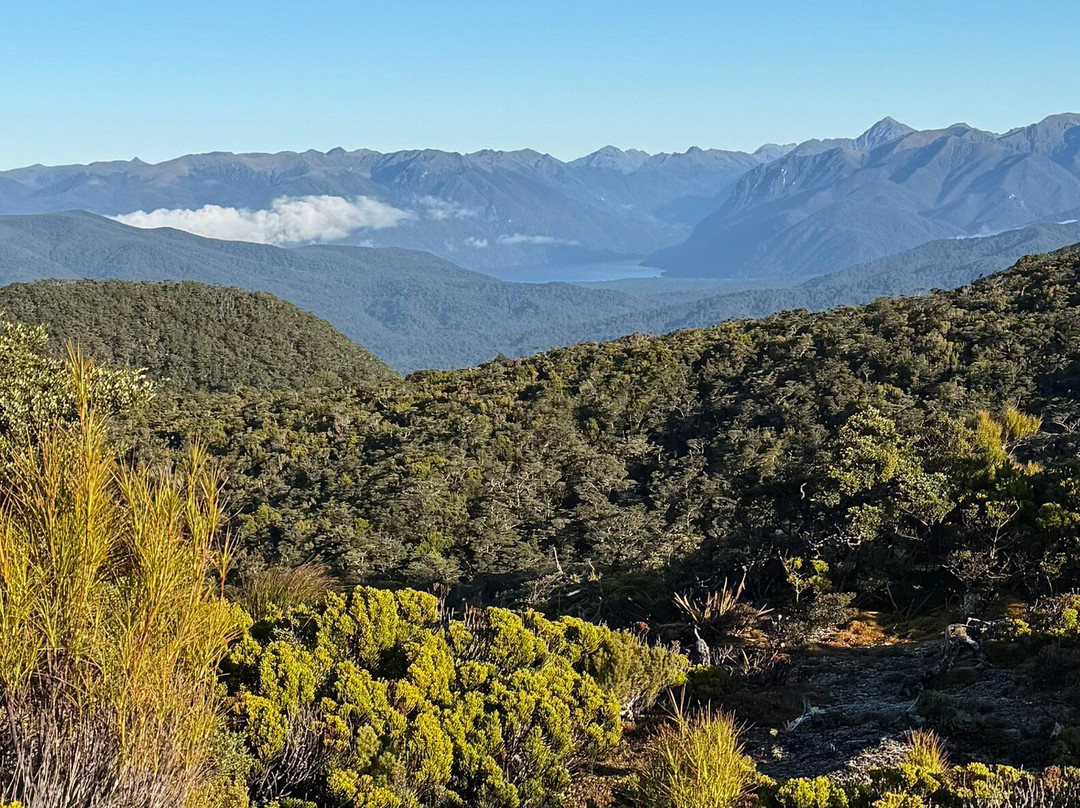Hump Ridge Track景点图片