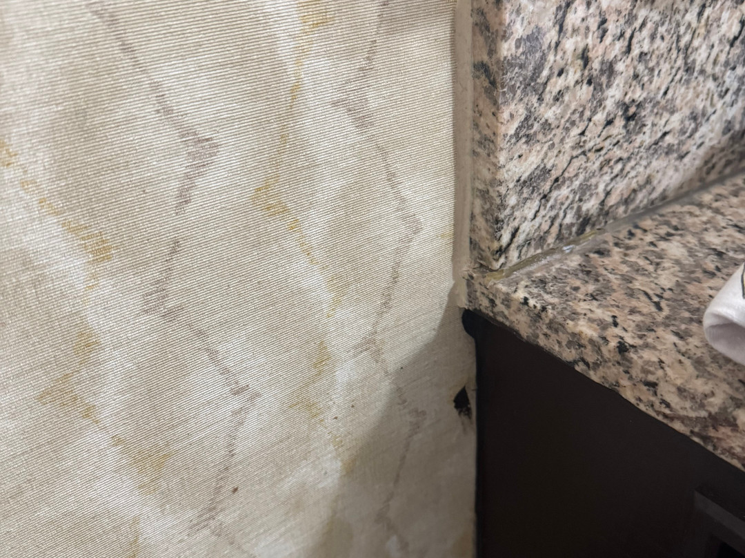 弗拉格斯塔夫大使套房酒店主图