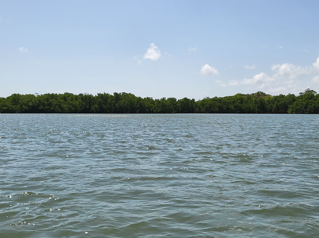 Gwada Gonflé-Petit-Bourg必去景点