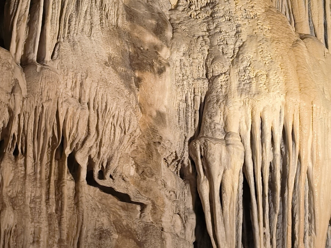 Cueva de las Güixas景点图片