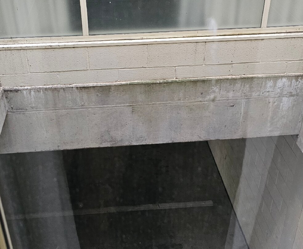 Best Western Plus Hovell Tree Inn主图