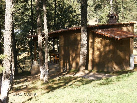 Cabanas Del Bosque主图