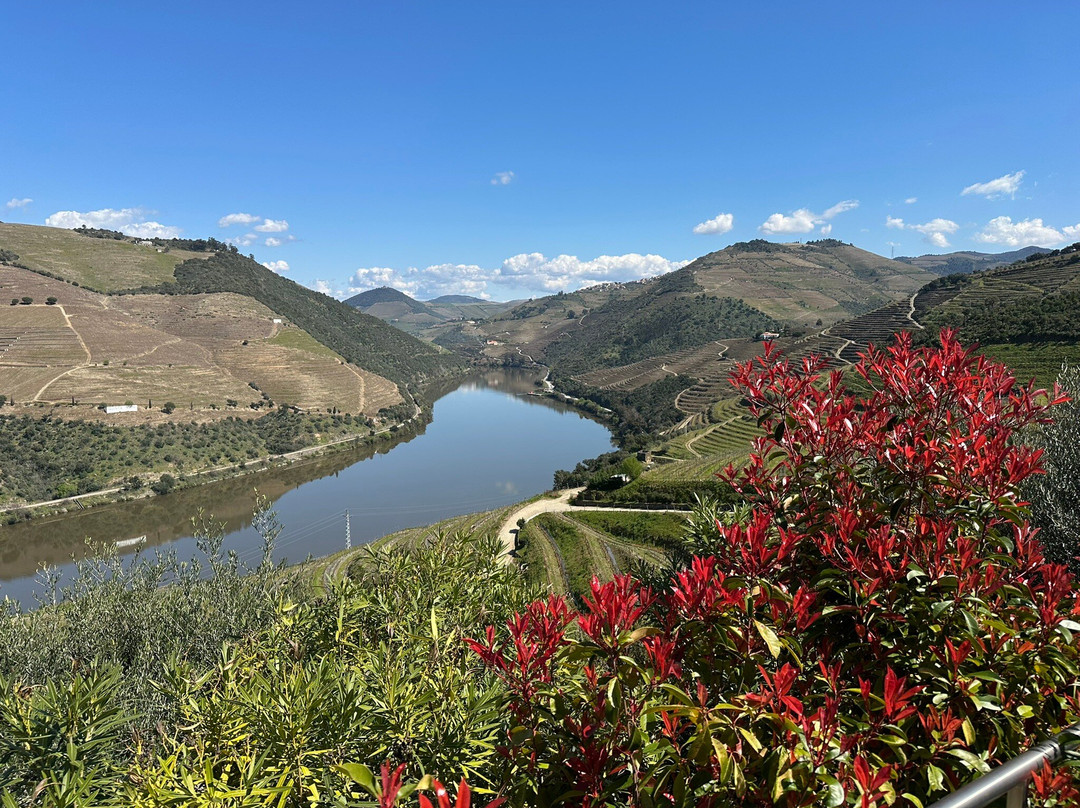 Quinta do Pôpa景点图片