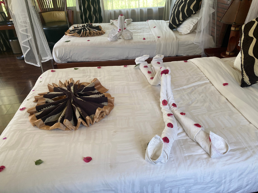 马赛马拉AA酒店主图