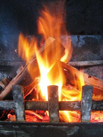 Gumtree on Gillies Bed and Breakfast主图