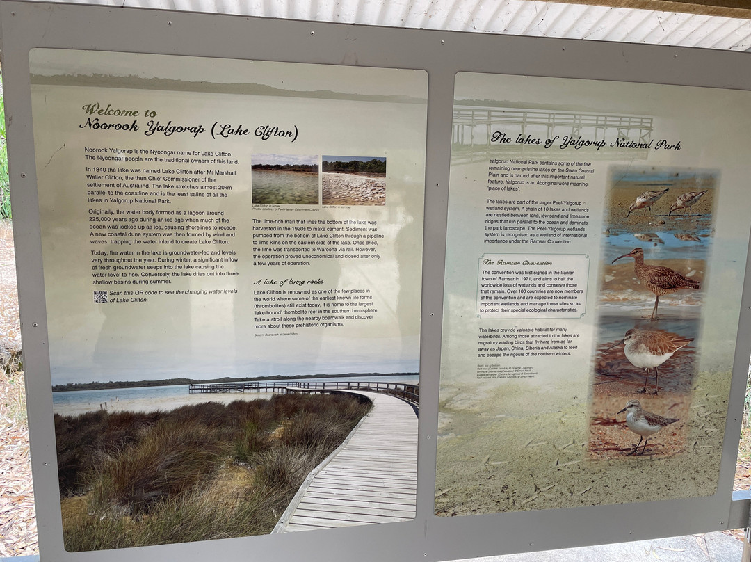 Lake Clifton-Yalgorup National Park必去景点