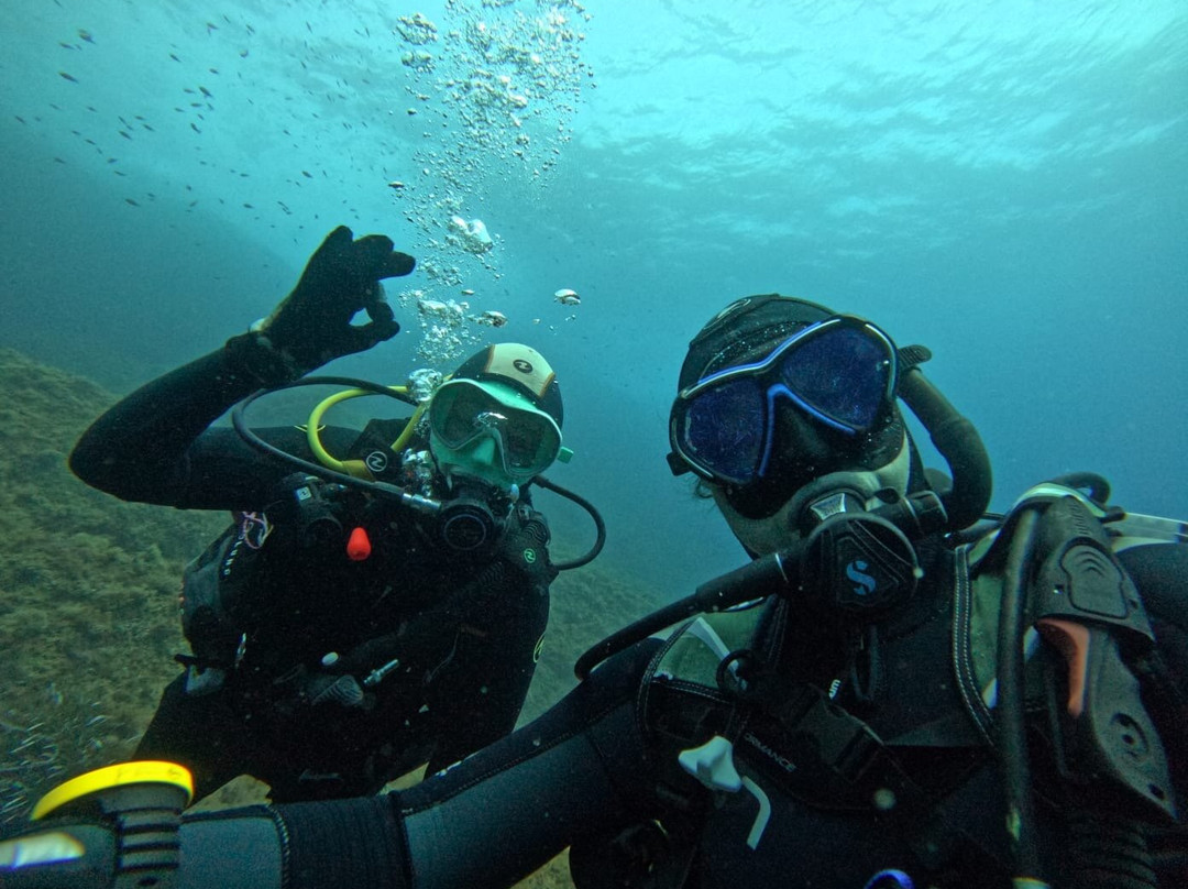 Paradise Diving Malta景点图片