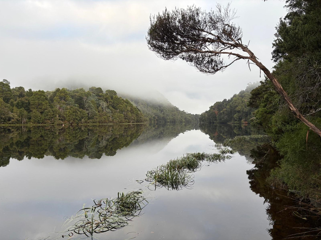 Tarkine Trails-Tullah必去景点