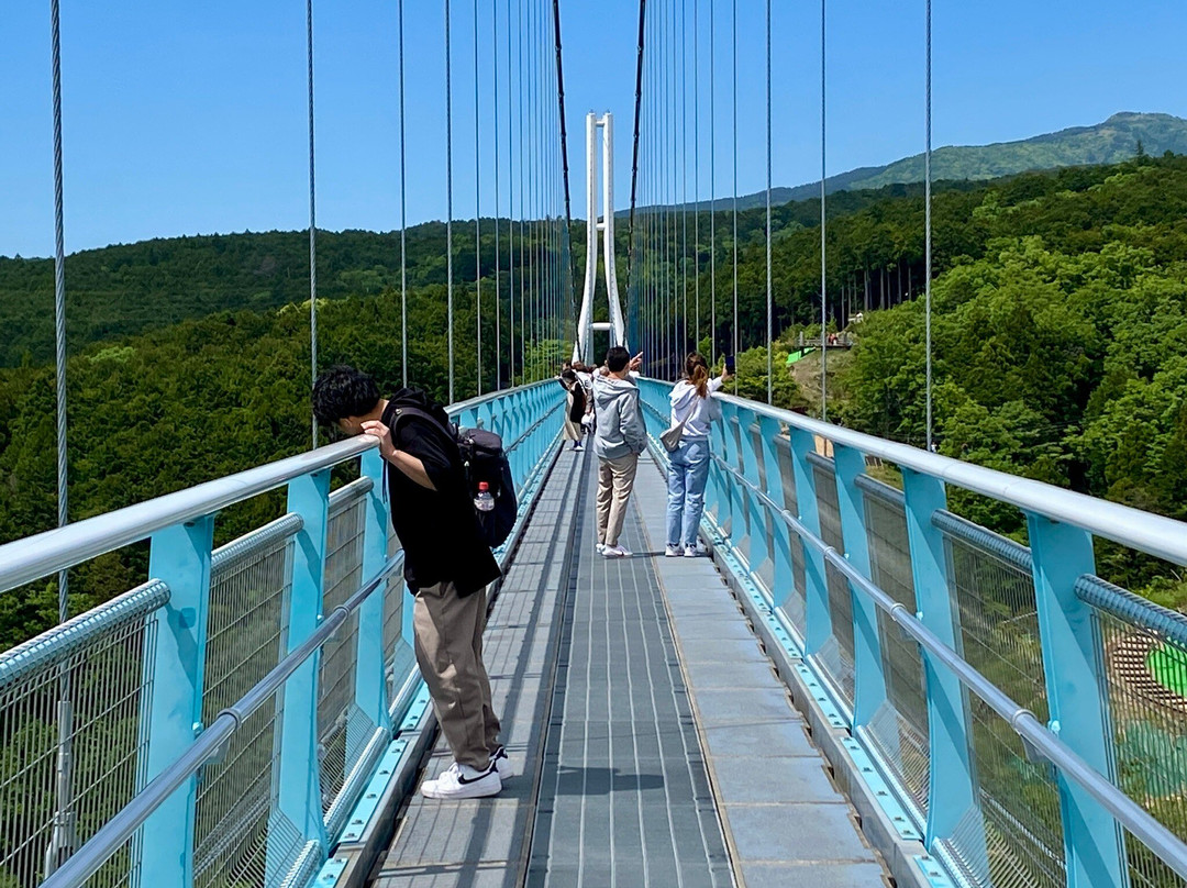 Mishima Skywalk景点图片