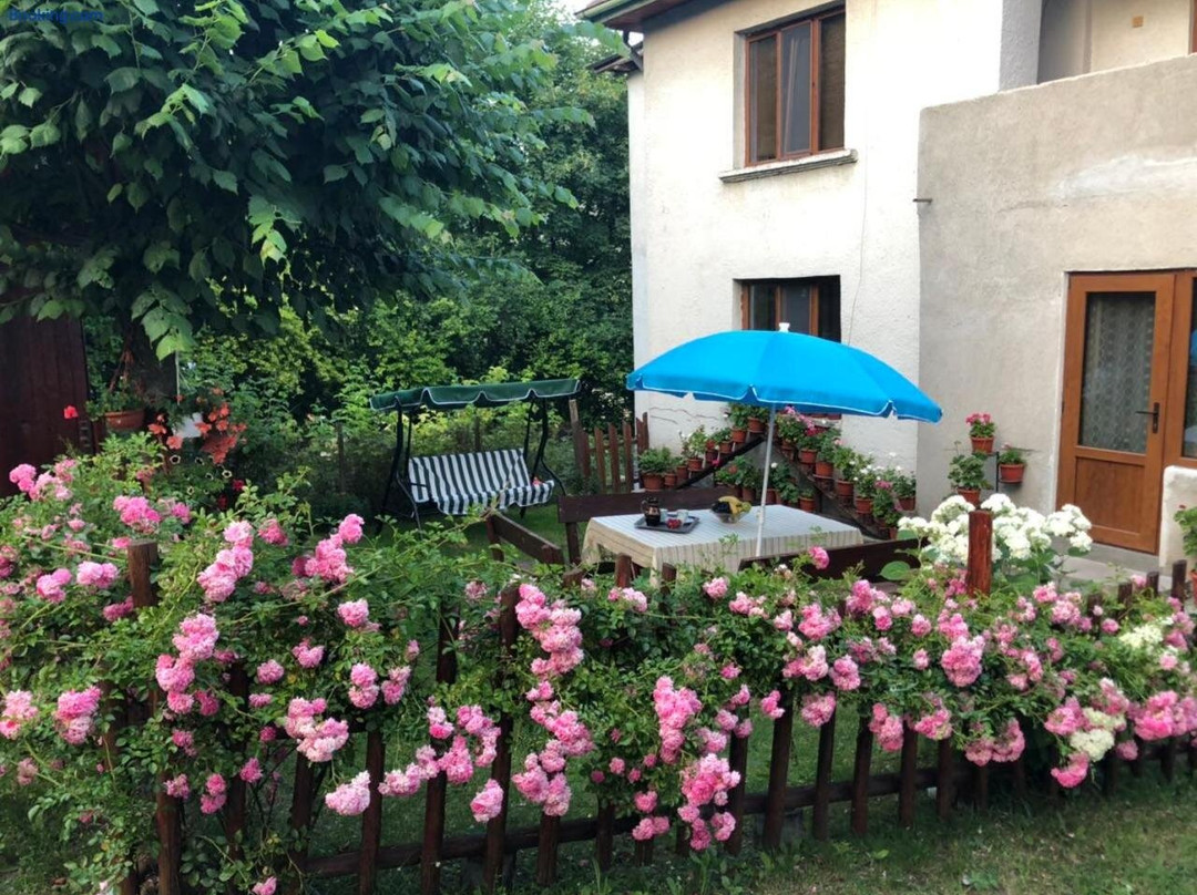 Guest house Emmy