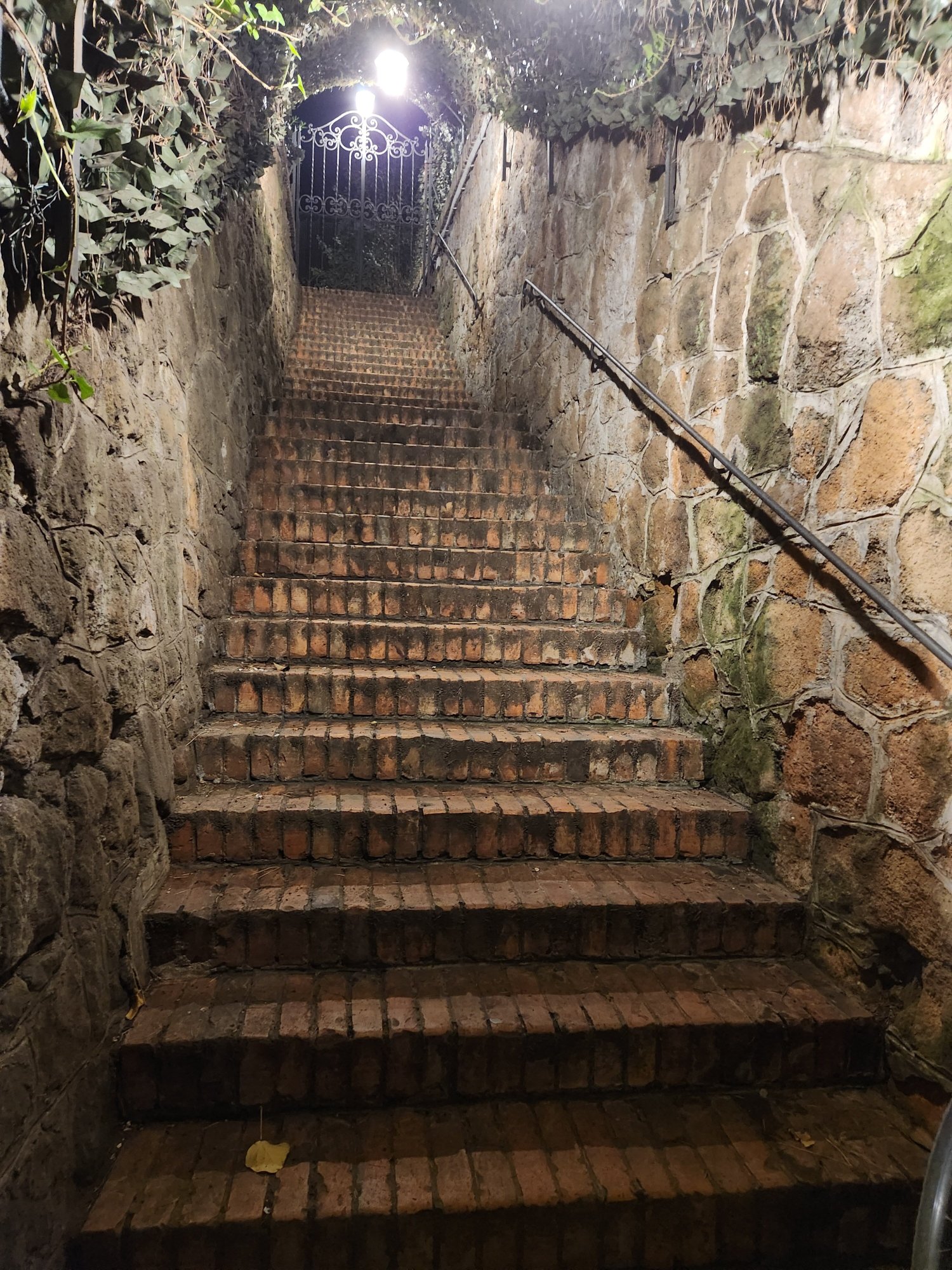 威利诺科贝利酒店-官方