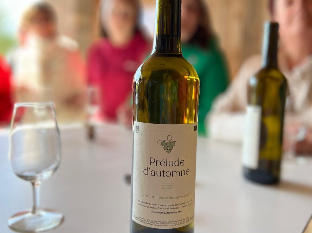 Chateau de Berlieren