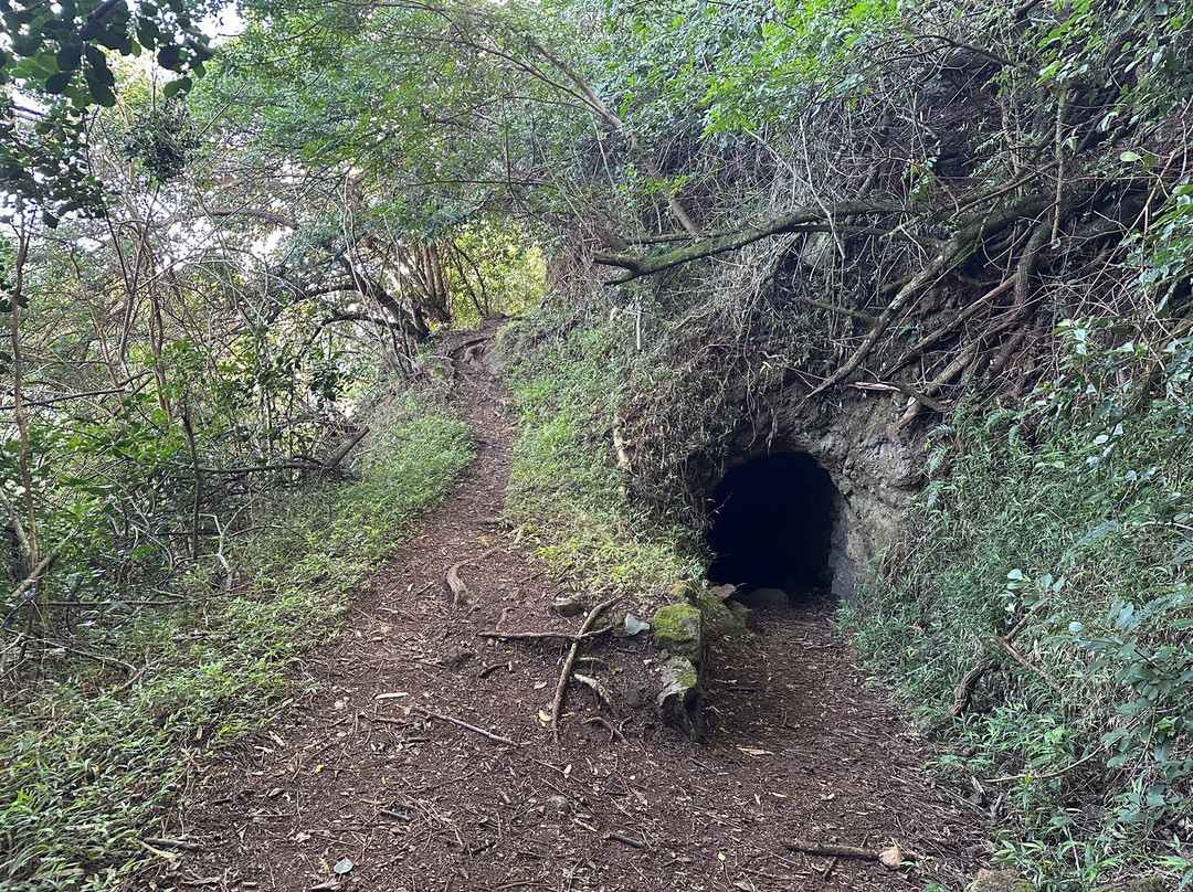 Waimano Ridge Trail-珍珠市必去景点