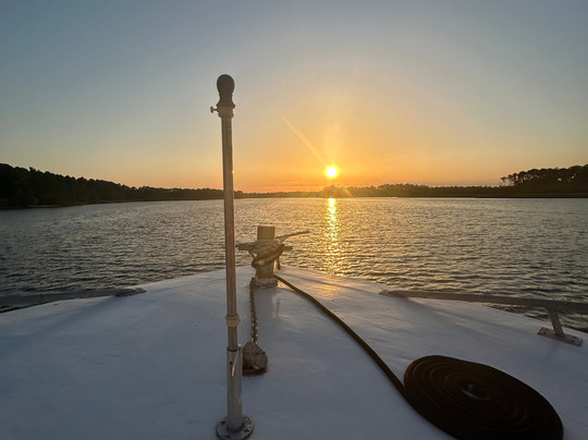 Sunny Lady Dolphin & Sunset Cruise at The Wharf-橙色海湾必去景点