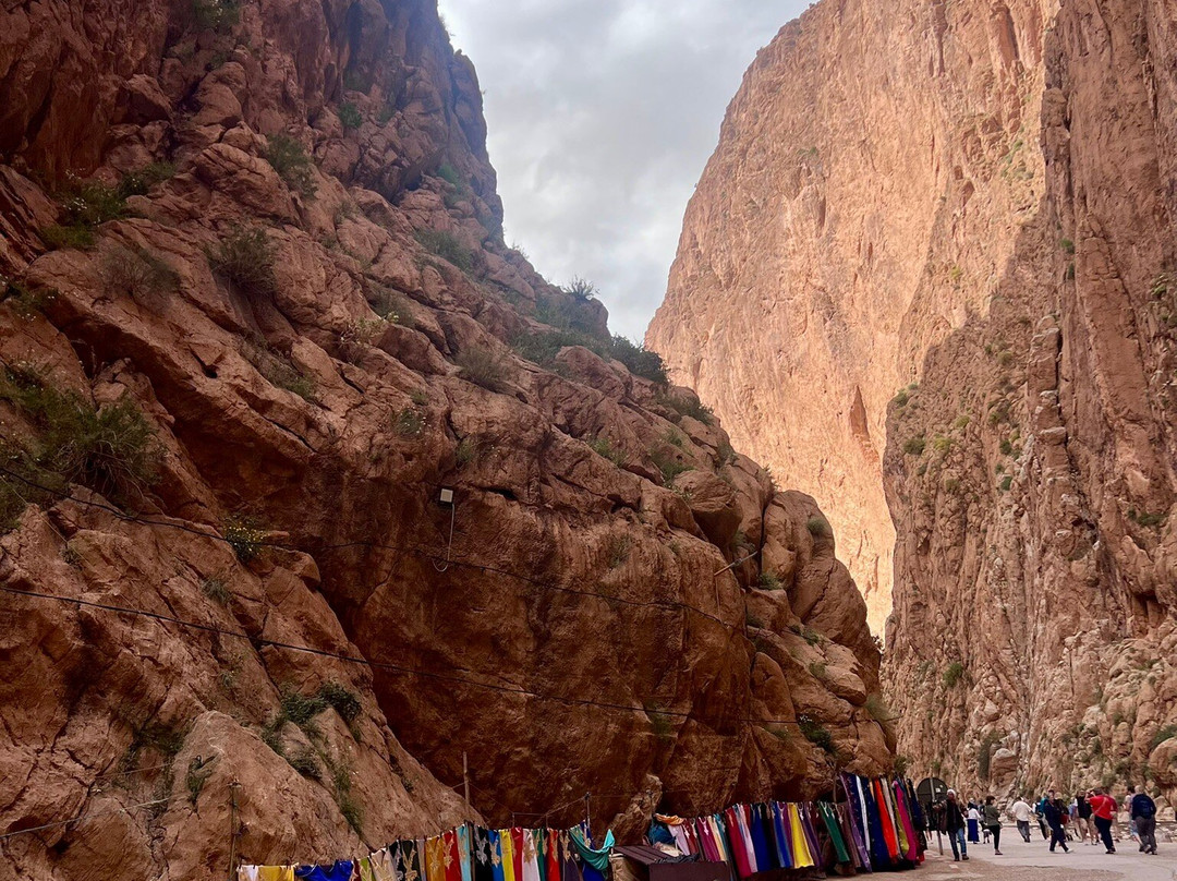 Morocco Culture Tours-马拉喀什必去景点