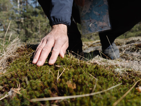 Reset Holidays Oy-赫尔辛基必去景点