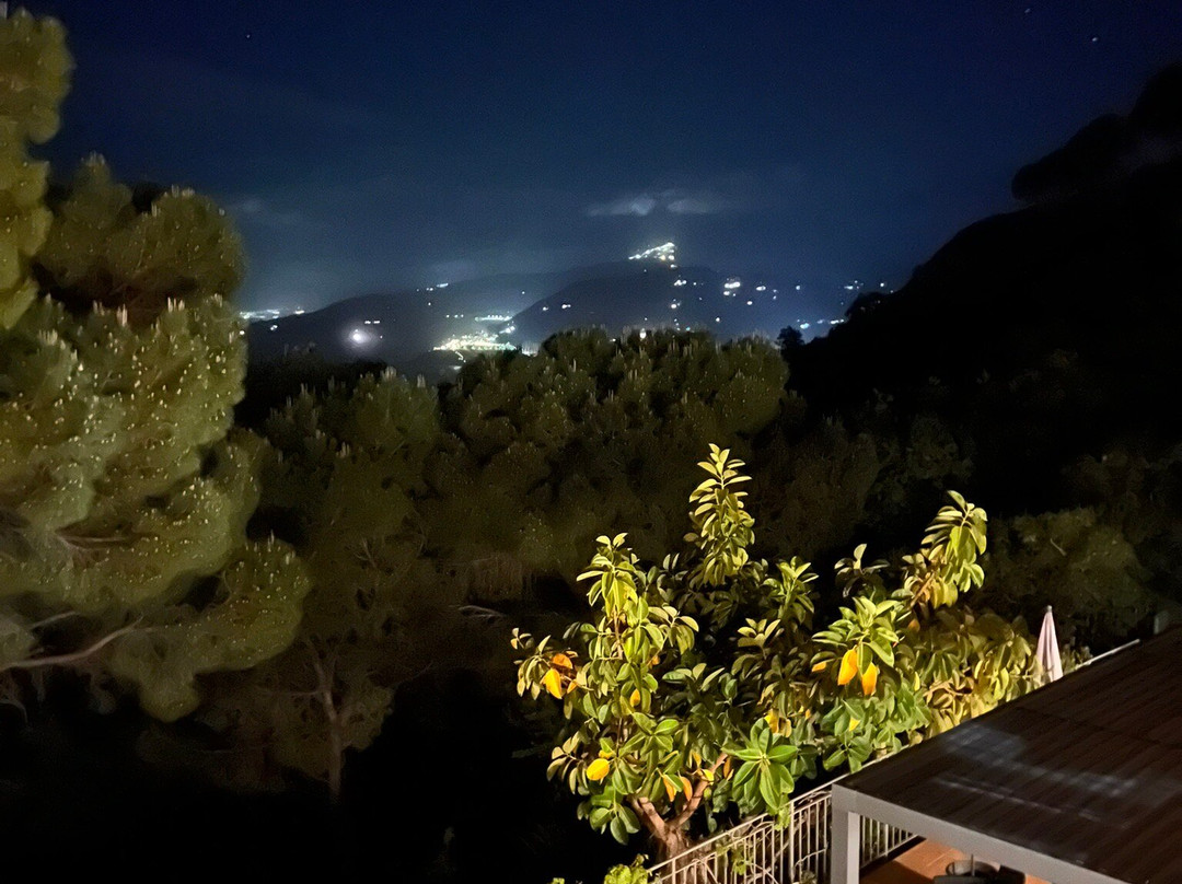 Alba Tra I Pini B&B主图