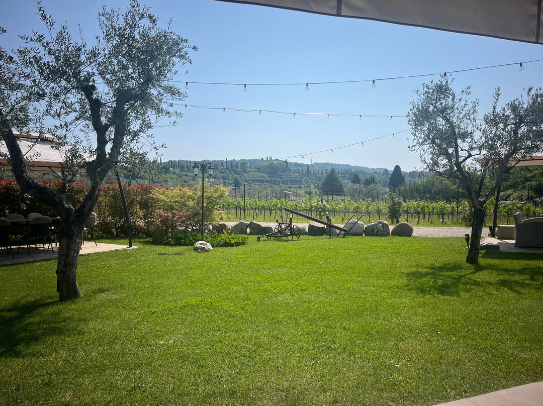 Azienda Agricola Ca' Bottura景点图片