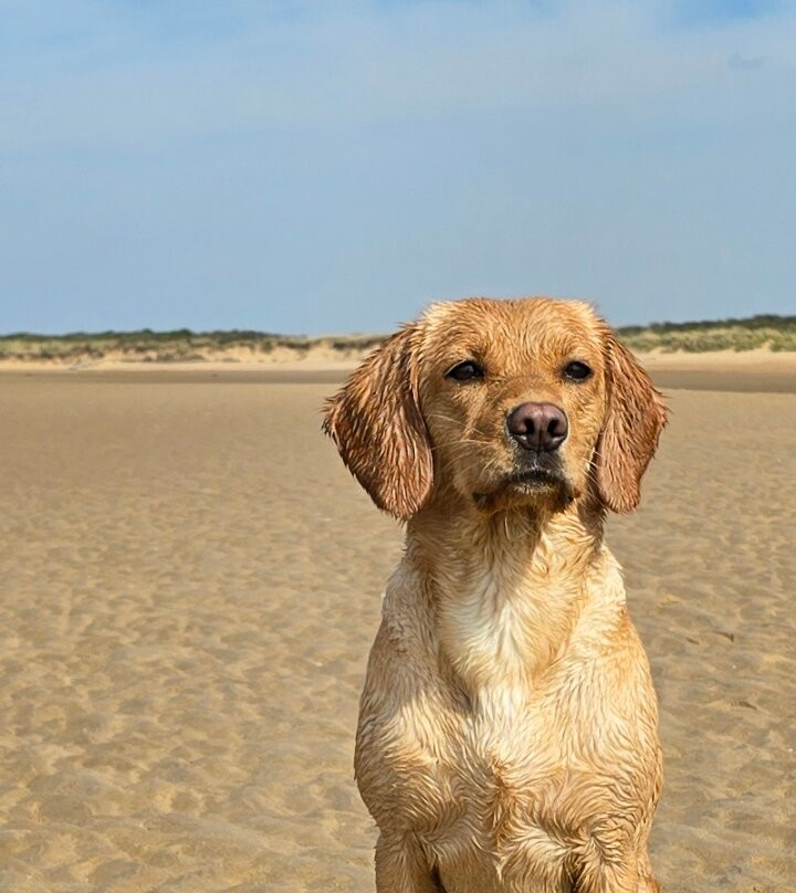 Old Hunstanton Beach景点图片