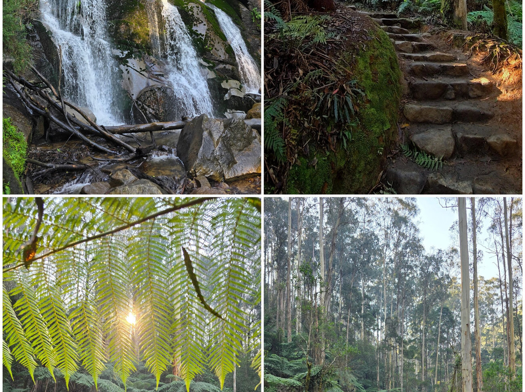 Toorongo Falls-Noojee必去景点